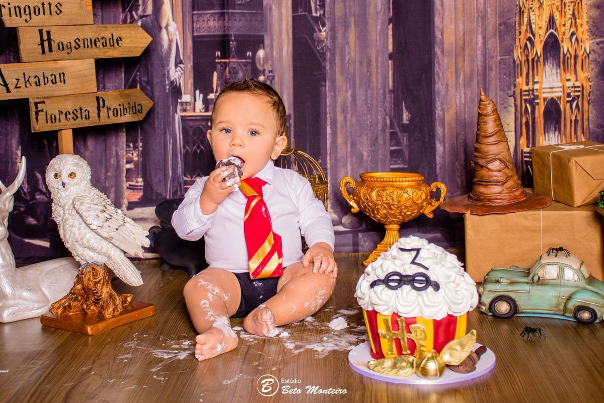 Book fotográfico Infantil - Book de fotos - Book de Criança - Book de Bebê - Book Menina - Book Menino - Book 1 ano -Estúdio Beto Monteiro - Curitiba - smash the cake - harry potter - Noah