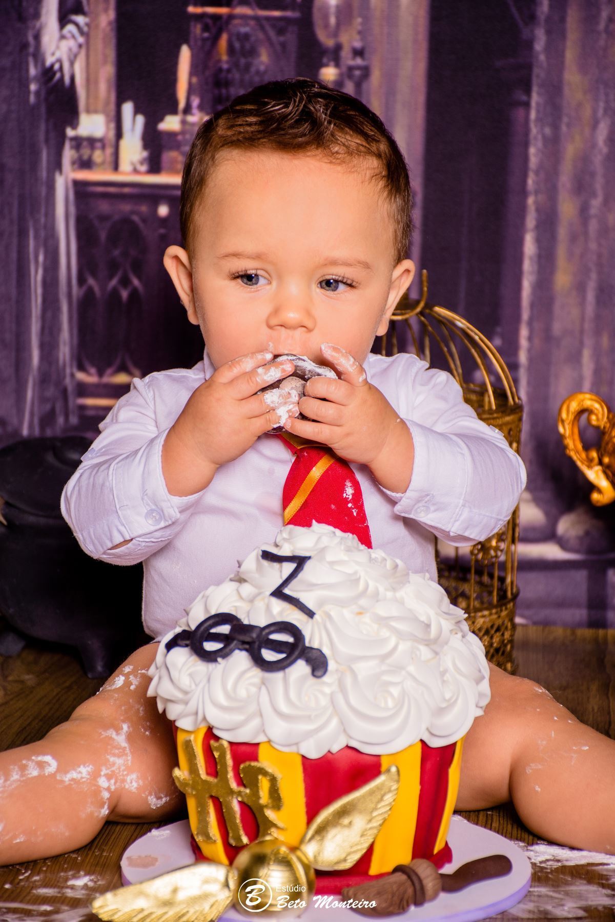 Book fotográfico Infantil - Book de fotos - Book de Criança - Book de Bebê - Book Menina - Book Menino - Book 1 ano -Estúdio Beto Monteiro - Curitiba - smash the cake - harry potter - Noah
