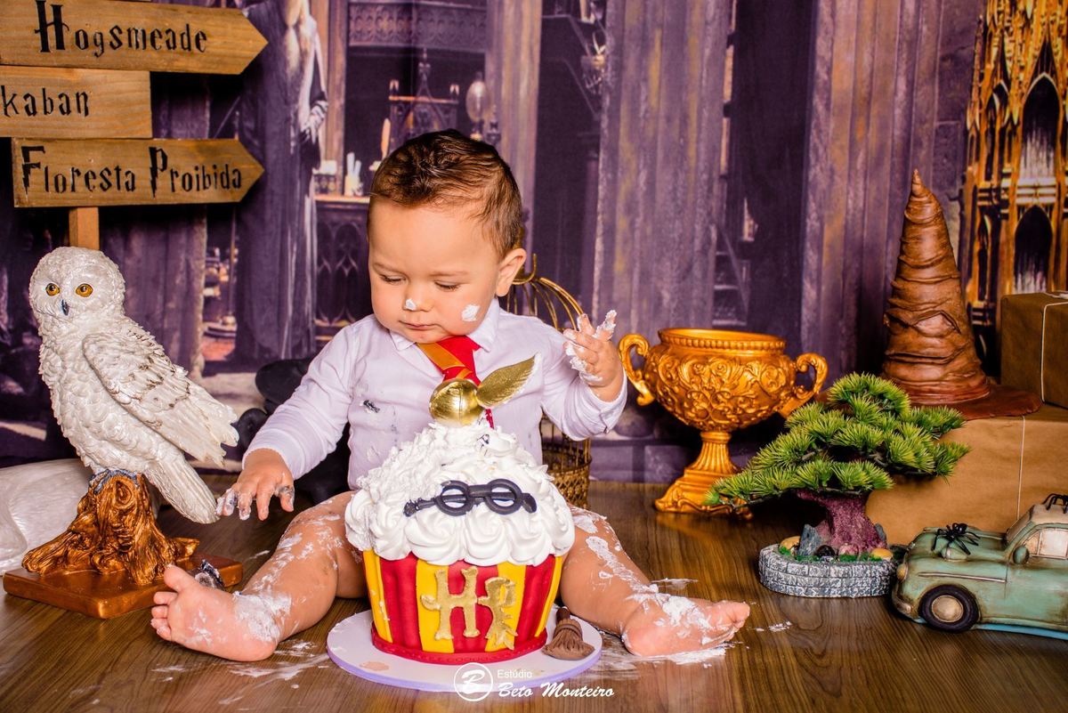 Book fotográfico Infantil - Book de fotos - Book de Criança - Book de Bebê - Book Menina - Book Menino - Book 1 ano -Estúdio Beto Monteiro - Curitiba - smash the cake - harry potter - Noah