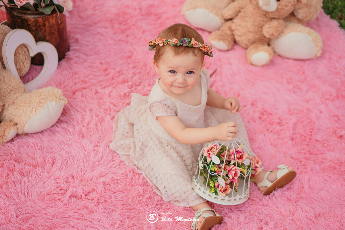 Book fotográfico Infantil - Book de fotos - Book de Criança - Book de Bebê - Book Menina - Book Menino - Book 1 ano - Estúdio Beto Monteiro - Curitiba - smash the cake - Sarah - ursinho rosa - chácara sentinela - smash the cake externo