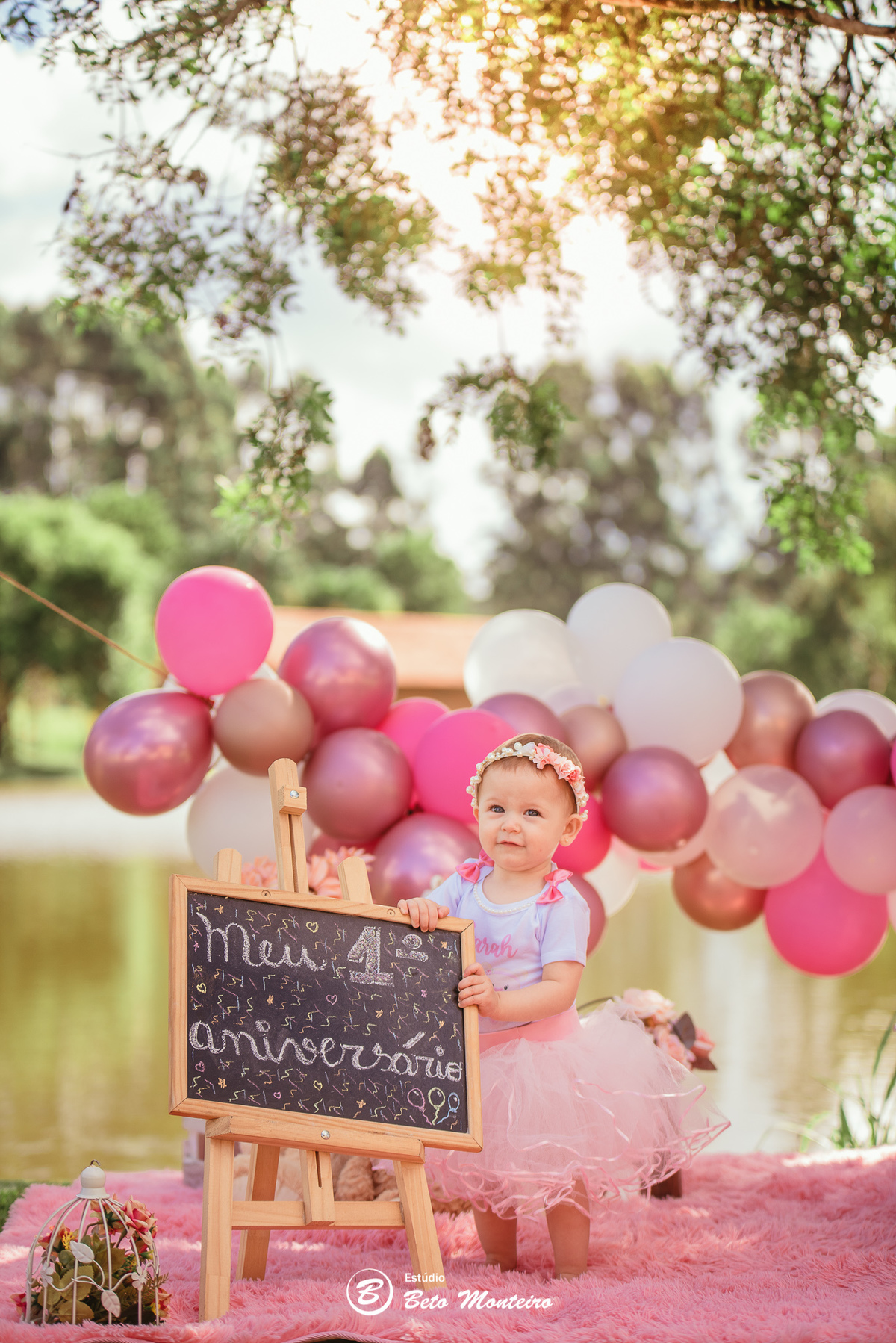 Book fotográfico Infantil - Book de fotos - Book de Criança - Book de Bebê - Book Menina - Book Menino - Book 1 ano - Estúdio Beto Monteiro - Curitiba - smash the cake - Sarah - ursinho rosa - chácara sentinela - smash the cake externo