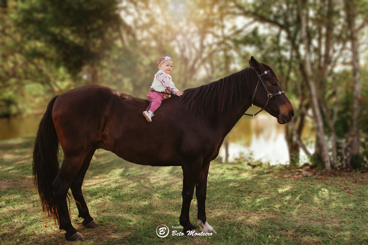 Book fotográfico Infantil - Book de fotos - Book de Criança - Book de Bebê - Book Menina - Book Menino - Book 1 ano - Estúdio Beto Monteiro - Curitiba - smash the cake - Sarah - ursinho rosa - chácara sentinela - smash the cake externo