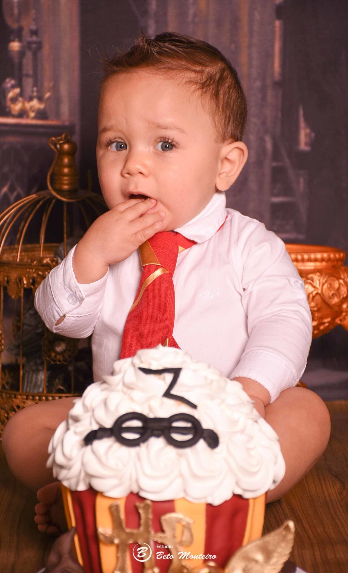 Book fotográfico Smash the cake - Book de fotos - Book Smash the cake - Book Cake Smash - Book Fruit Smash - Book Smash the fruit - Book de Bebê - Estúdio Beto Monteiro - Curitiba