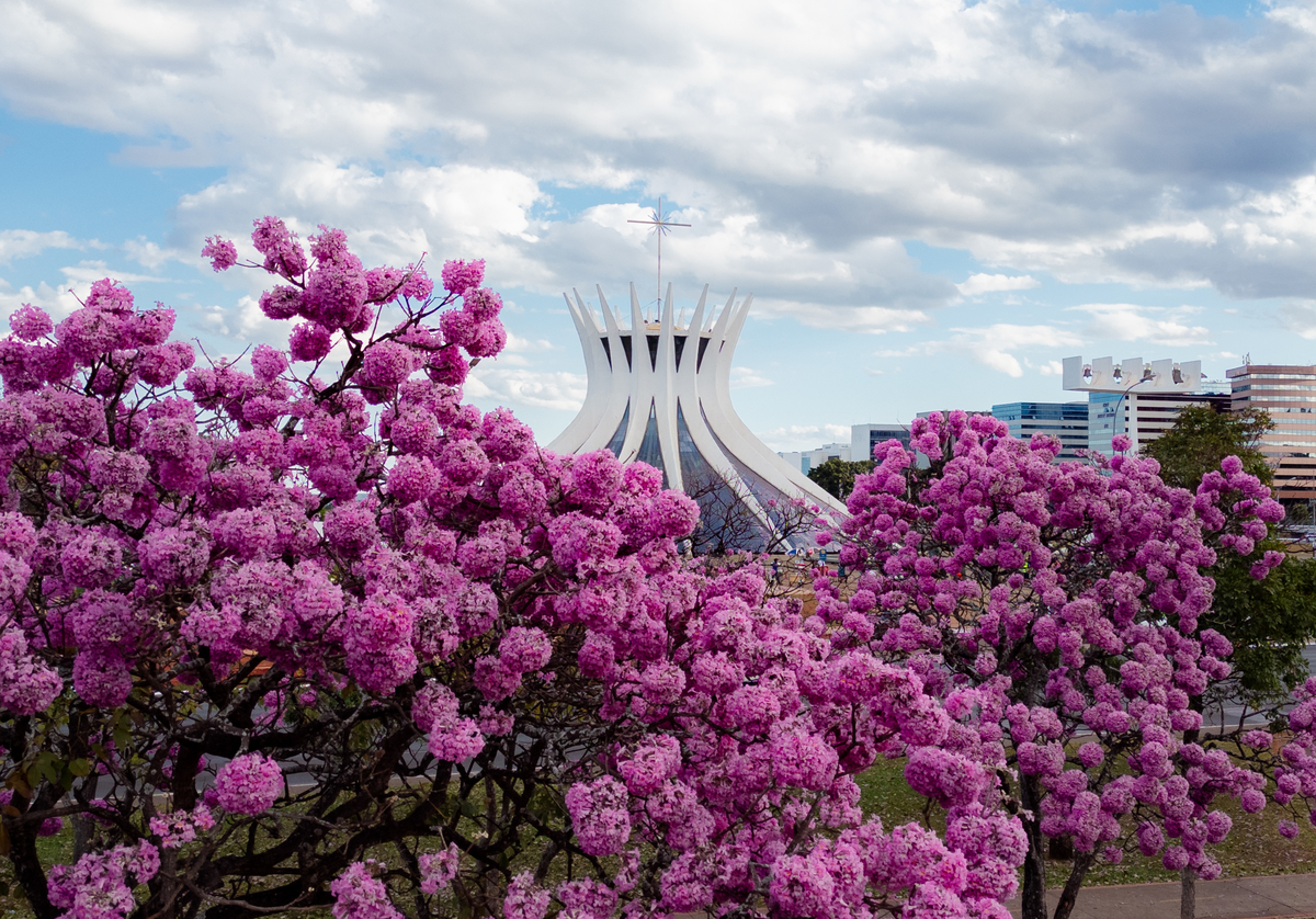 Catedral Metropolitana de Brasília