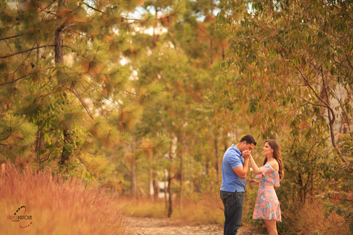 pre wedding belvedere