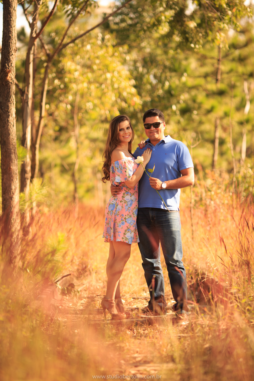 linha de trem abandonada belvedere