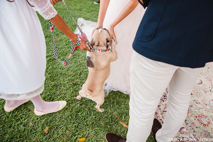foto casamento embaixo da arvore 