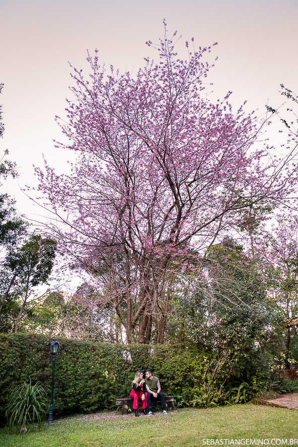 fotos ensaio pre casamento pre wedding niterio