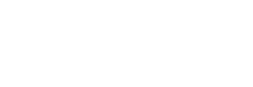 Logotipo de wladimar vinicio ventura