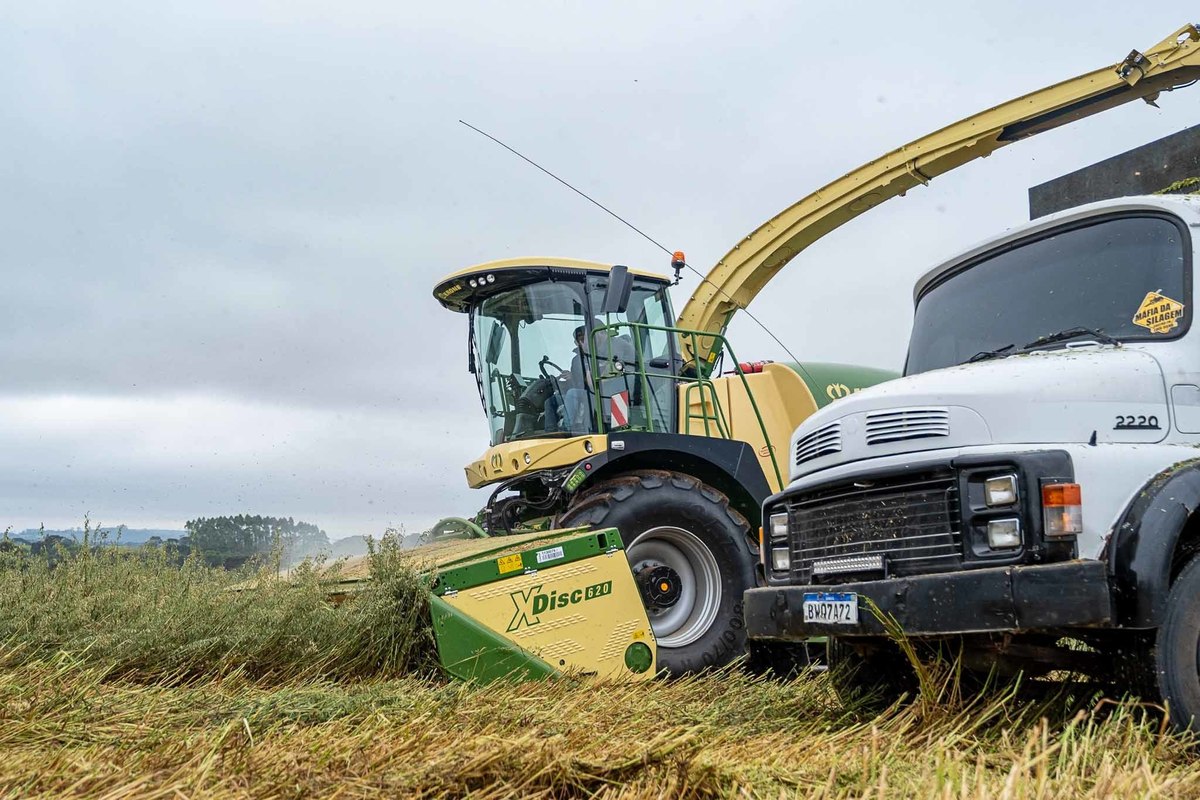 #krone