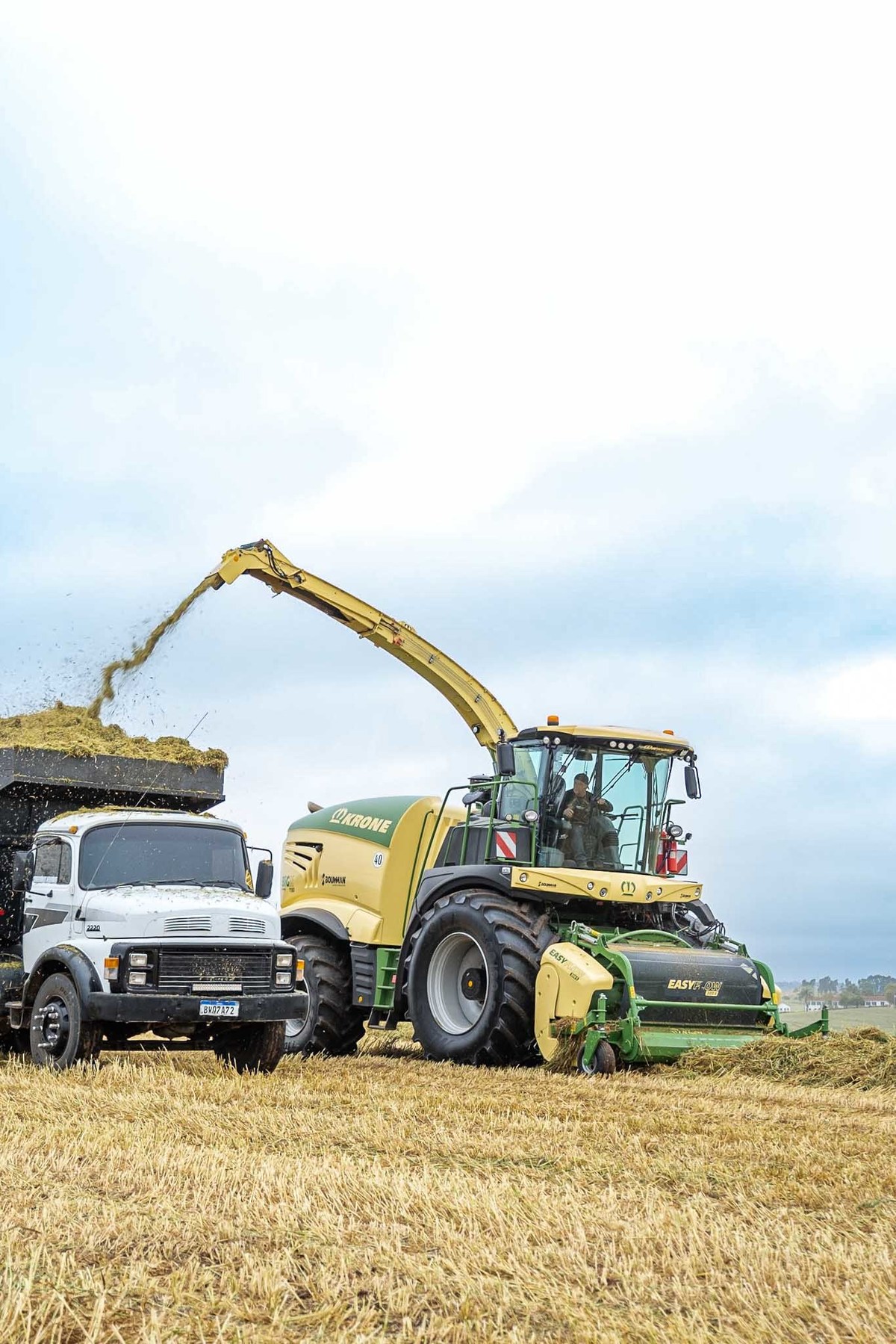 #krone