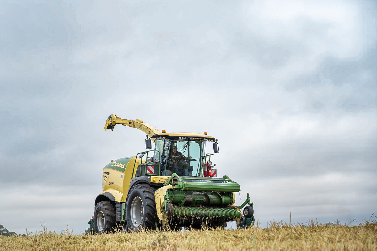 #krone