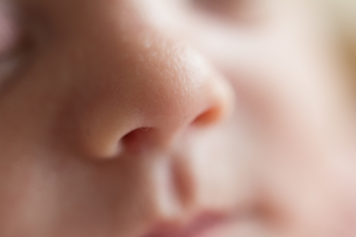 Foto de detalhe do nariz