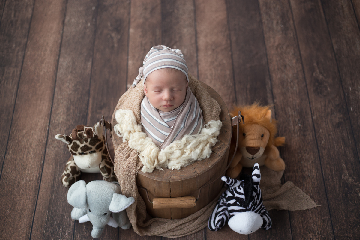 Pedro no Baldinho e seus amiguinhos