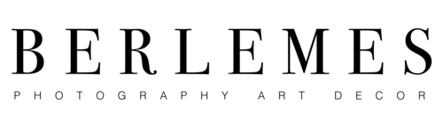 Logotipo de bernardo lemes martins