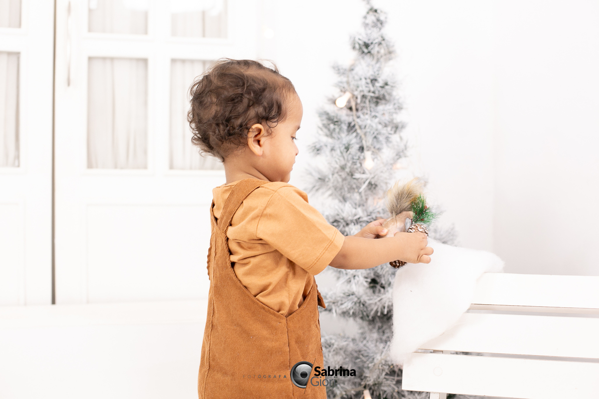 Ensaios Fotográfico de Natal 2024 