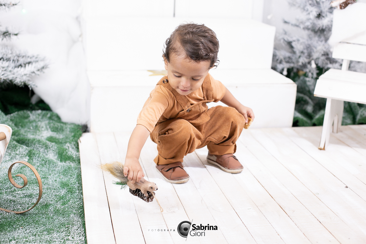 Ensaios Fotográfico de Natal 2024 