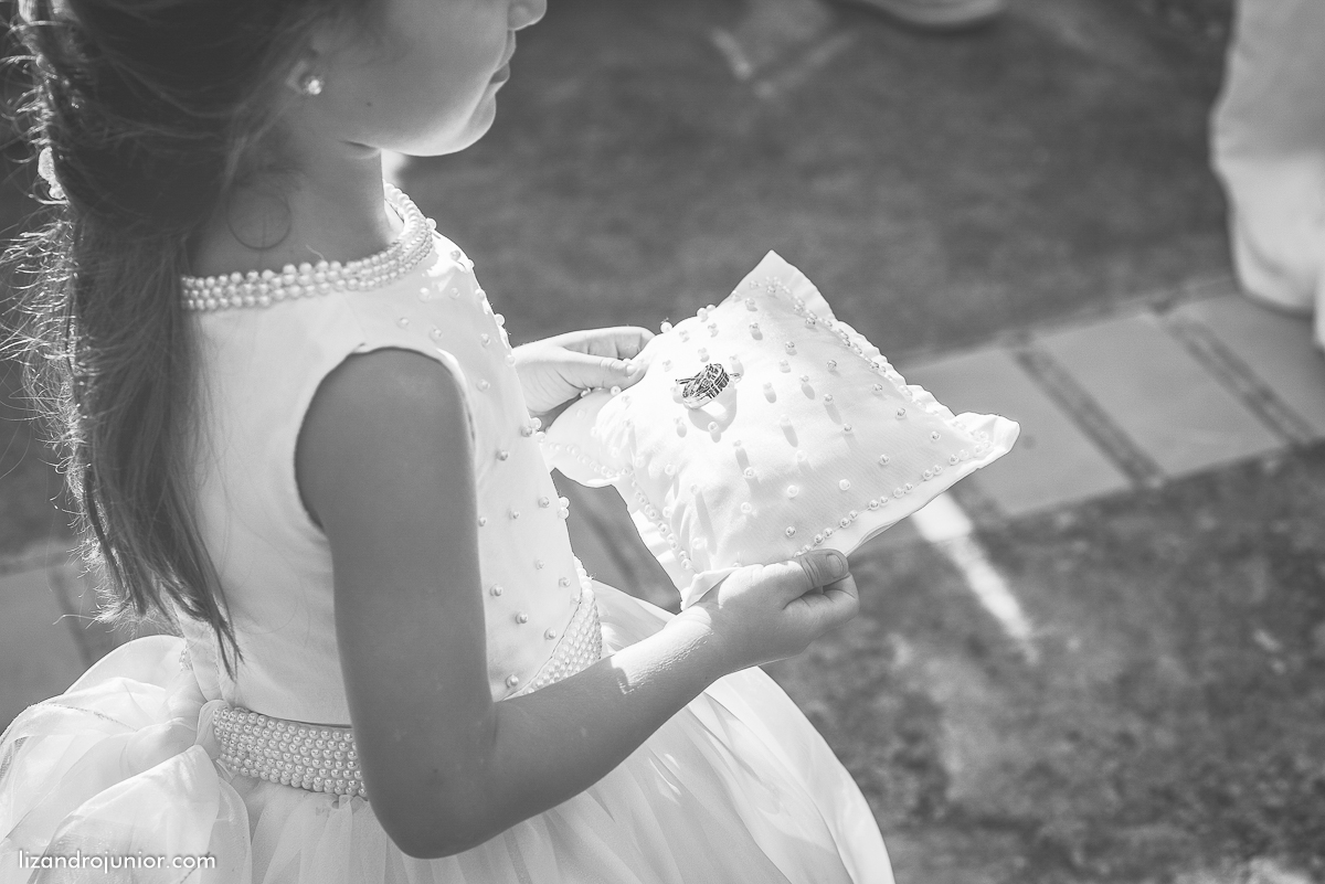 lizandro junior fotografo, patos de minas, casamento são gotardo, sitio aguas de março, roberta e joão