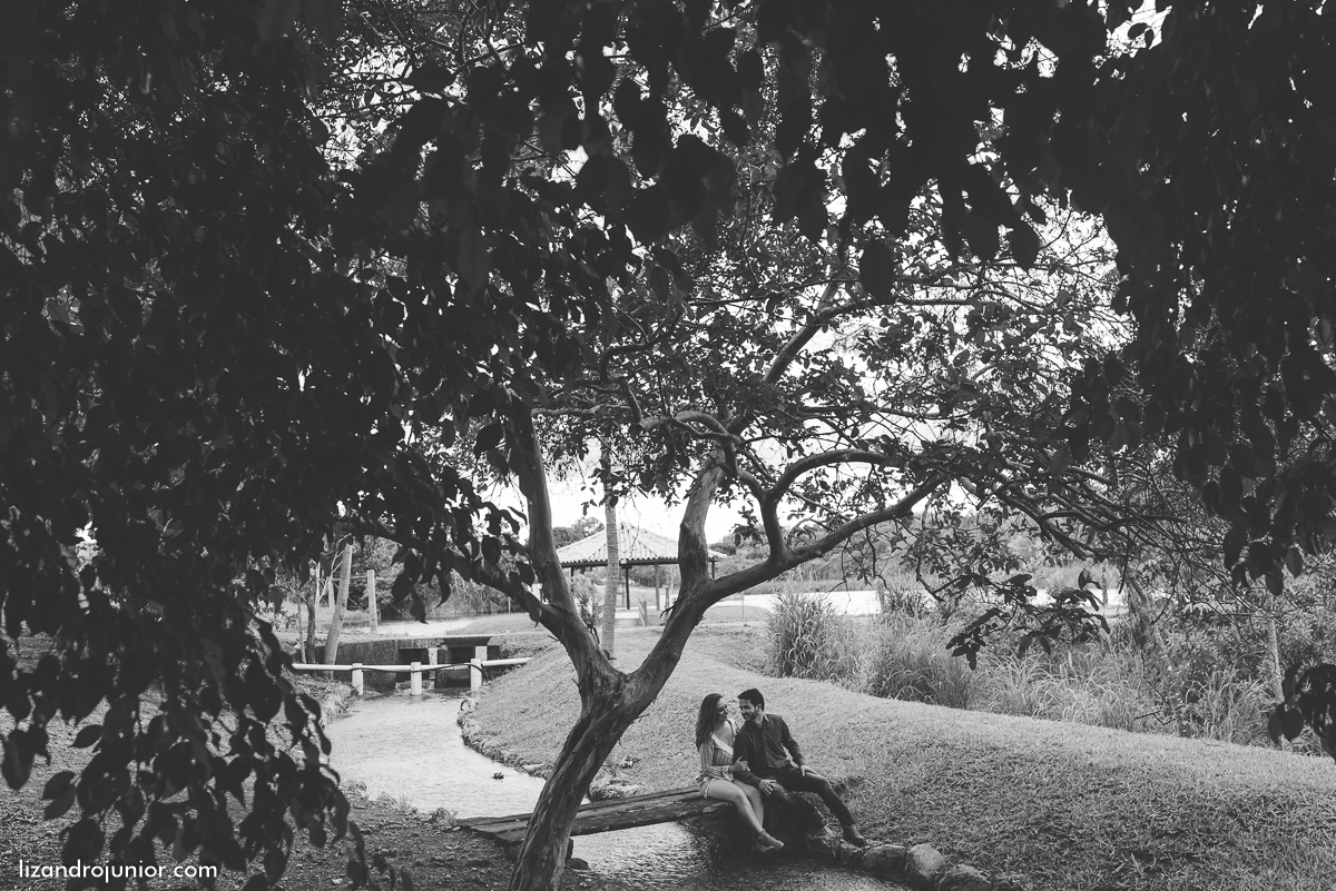 ensaio namorando patos de minas, fotografo de casamento lizandro junior, lizandro júnior, ensaio romântico, ensaio ao ar livre, fazenda,