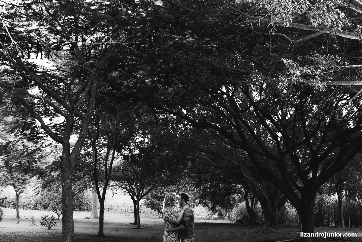ensaio namorando patos de minas fazenda sitio lizandro junior fotografo de casamento