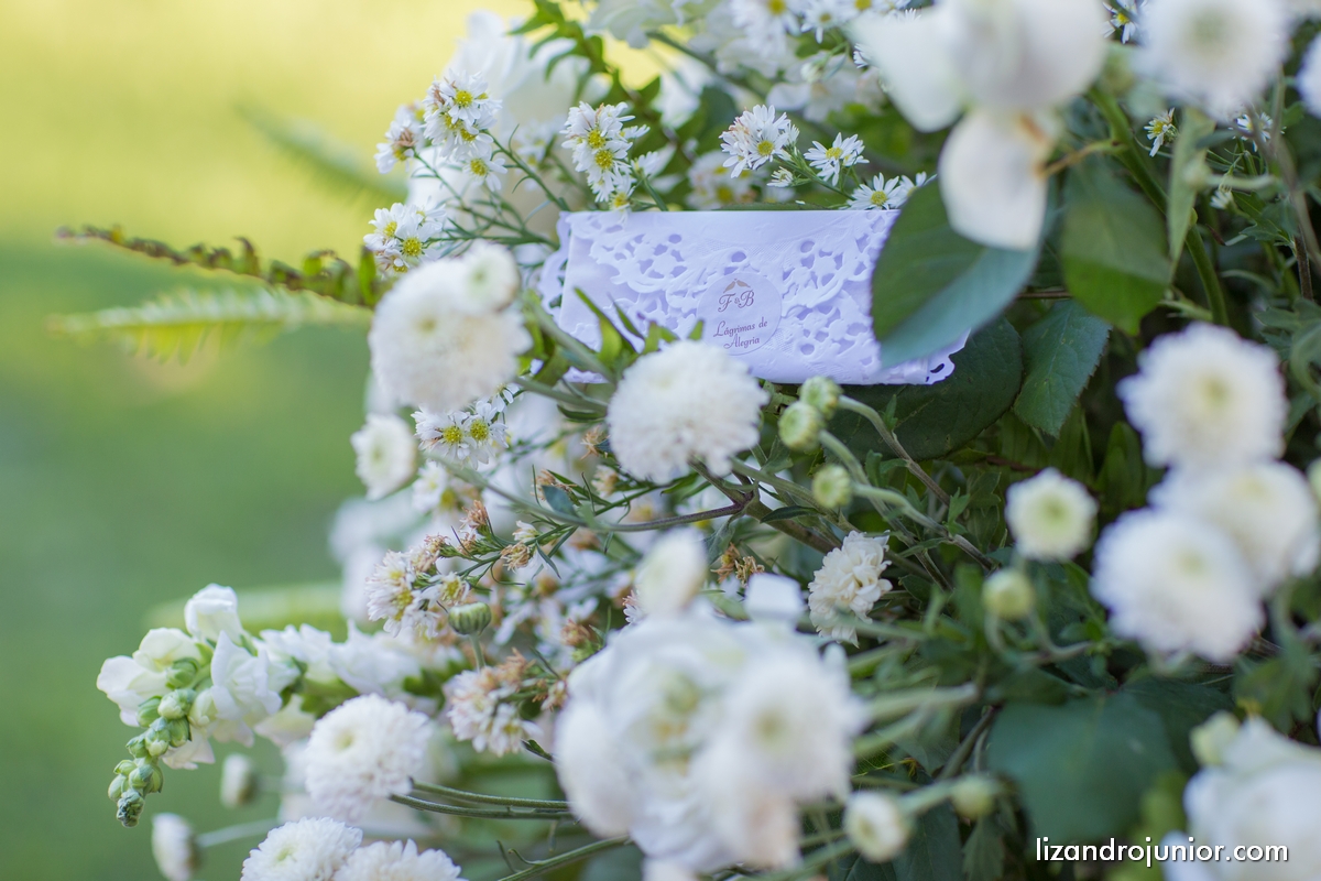 lizandro junior, fotografo de casamento patos de minas, foto de casamento, casamento patos de minas, lizandro júnior, bruna e fulgêncio, noivos,