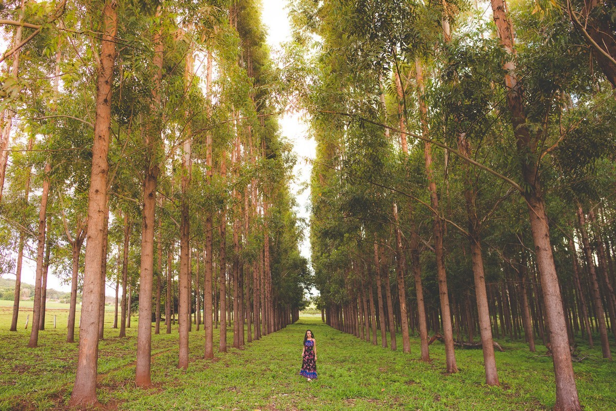 ENSAIO DE 15 ANOS, DEBUTANTE PATOS DE MINAS, ENSAIO DE 15 ANOS PATOS DE MINAS, FOTOGRAFO DE 15 ANOS PATOS, LIZANDRO JUNIOR