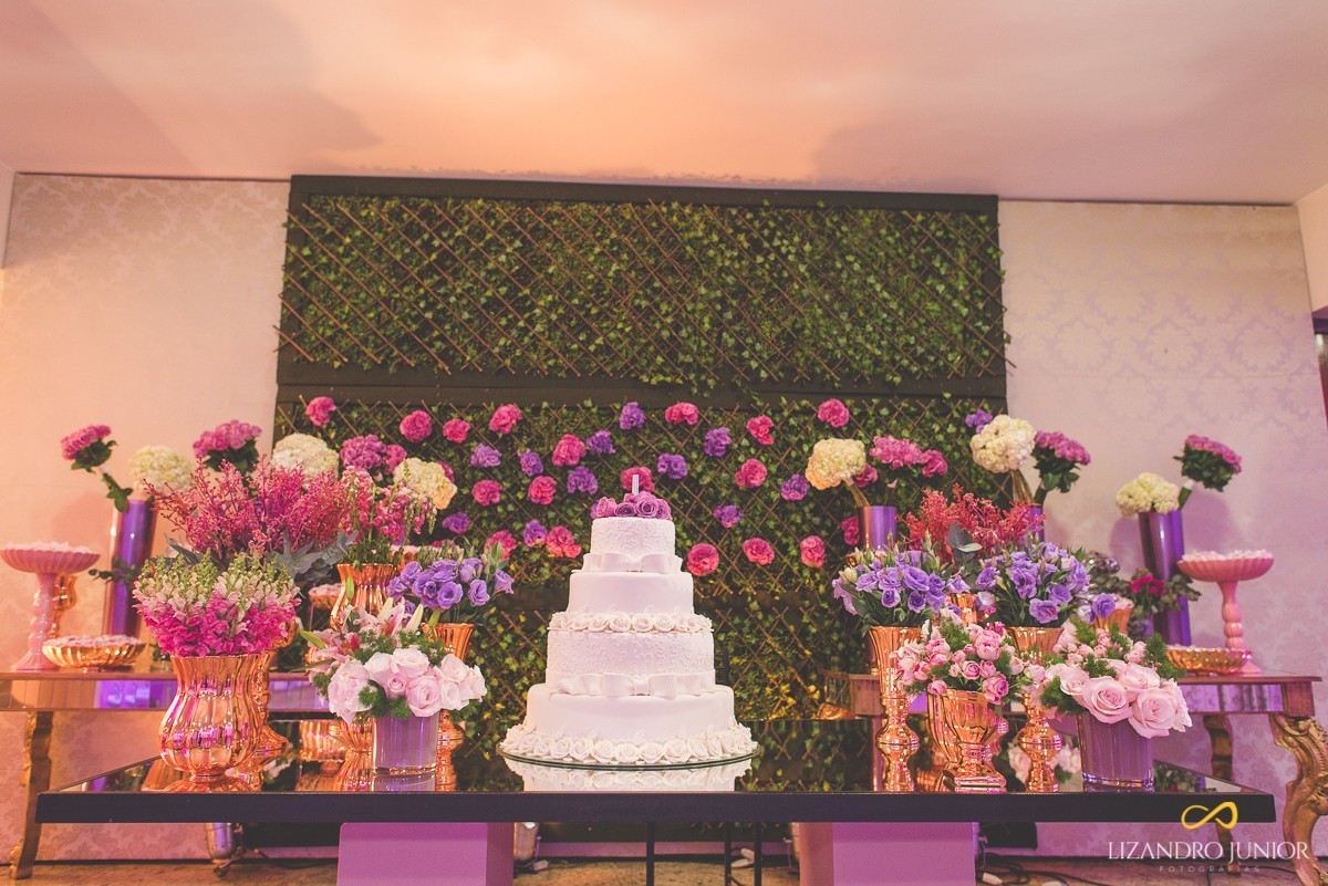 ANIVERSÁRIO DE 15 ANOS PATOS DE MINAS, ANA CLARA, FOTÓGRAFO LIZANDRO JUNIOR 15 ANOS