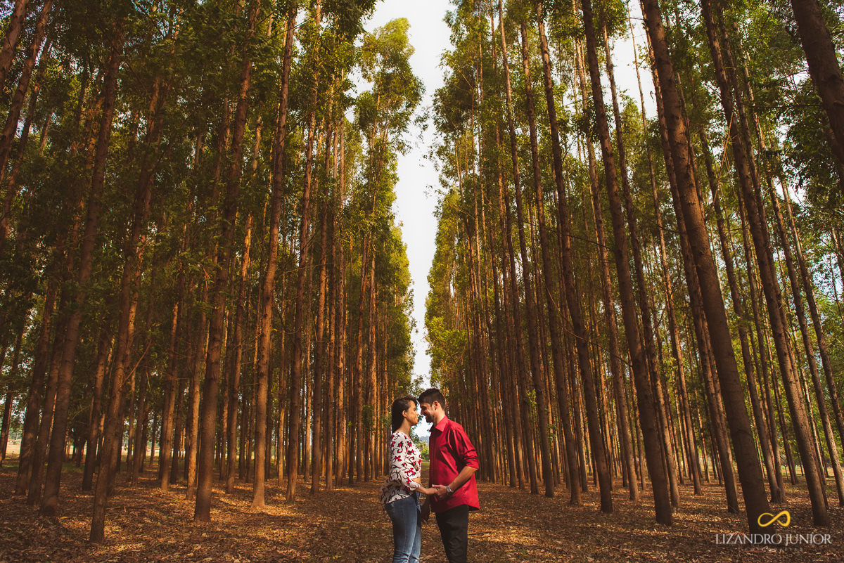 ensaio namorando, ensaio patos de minas, ensaio romantico, lizandro junior