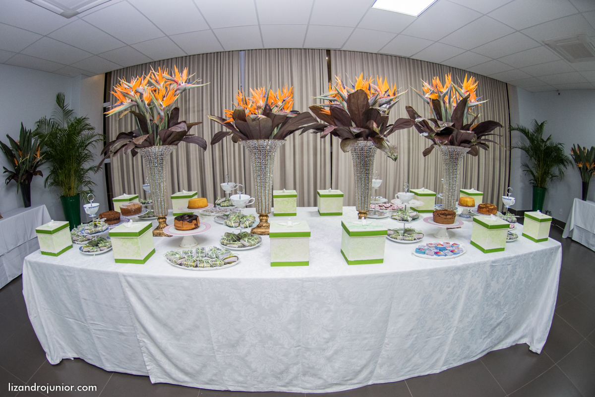 decoração de casamento patos de minas lizandro júnior fotografias fotografo de casamento