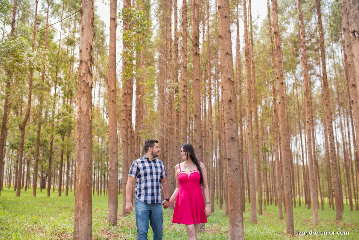 lizandro junior fotografo patos de minas casamento ensaio namorando erika e mateus