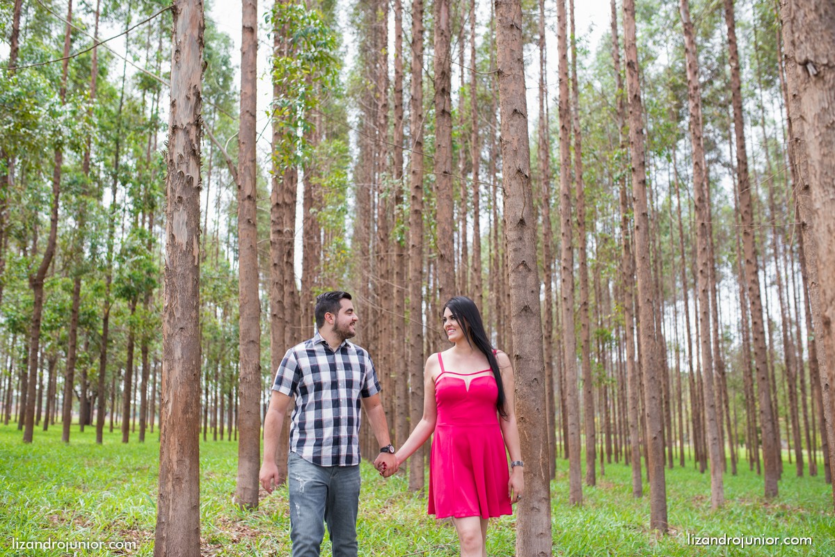 lizandro junior fotografo patos de minas casamento ensaio namorando erika e mateus