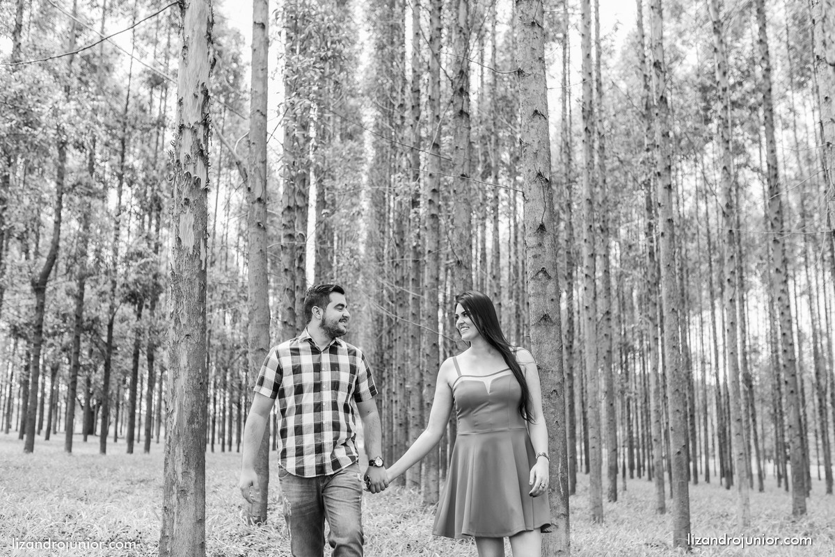 lizandro junior fotografo patos de minas casamento ensaio namorando erika e mateus