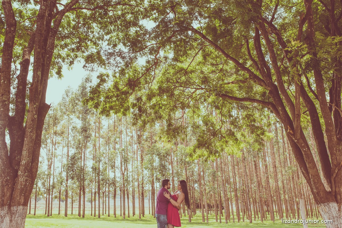 lizandro junior fotografo patos de minas casamento ensaio namorando erika e mateus