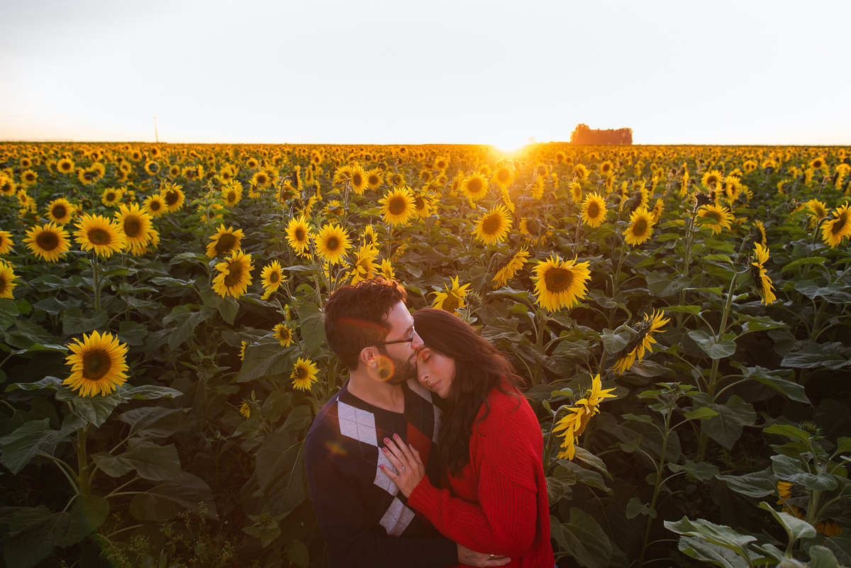 ensaio romantico ao por do sol, ensaio, girassol, rio paranaiba