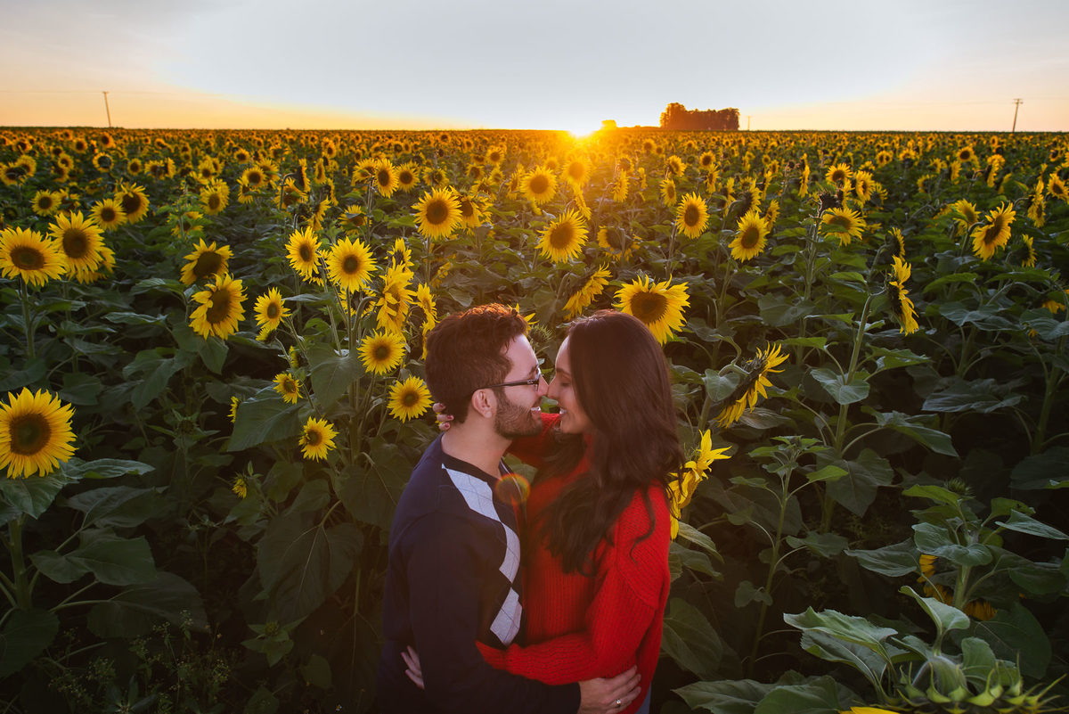 ensaio romantico ao por do sol, ensaio, girassol, rio paranaiba