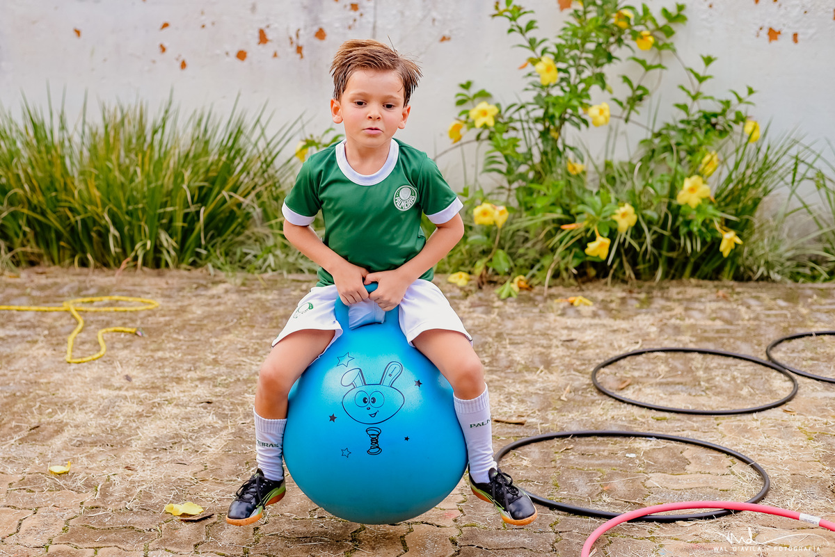 Aniversário-infantil-carmodoparanaiba-palmeiras