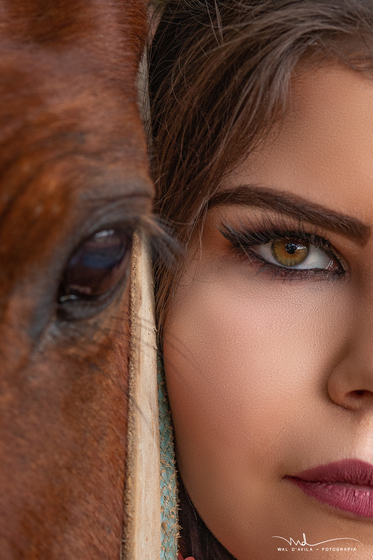 rayssa 15 anos cavalo