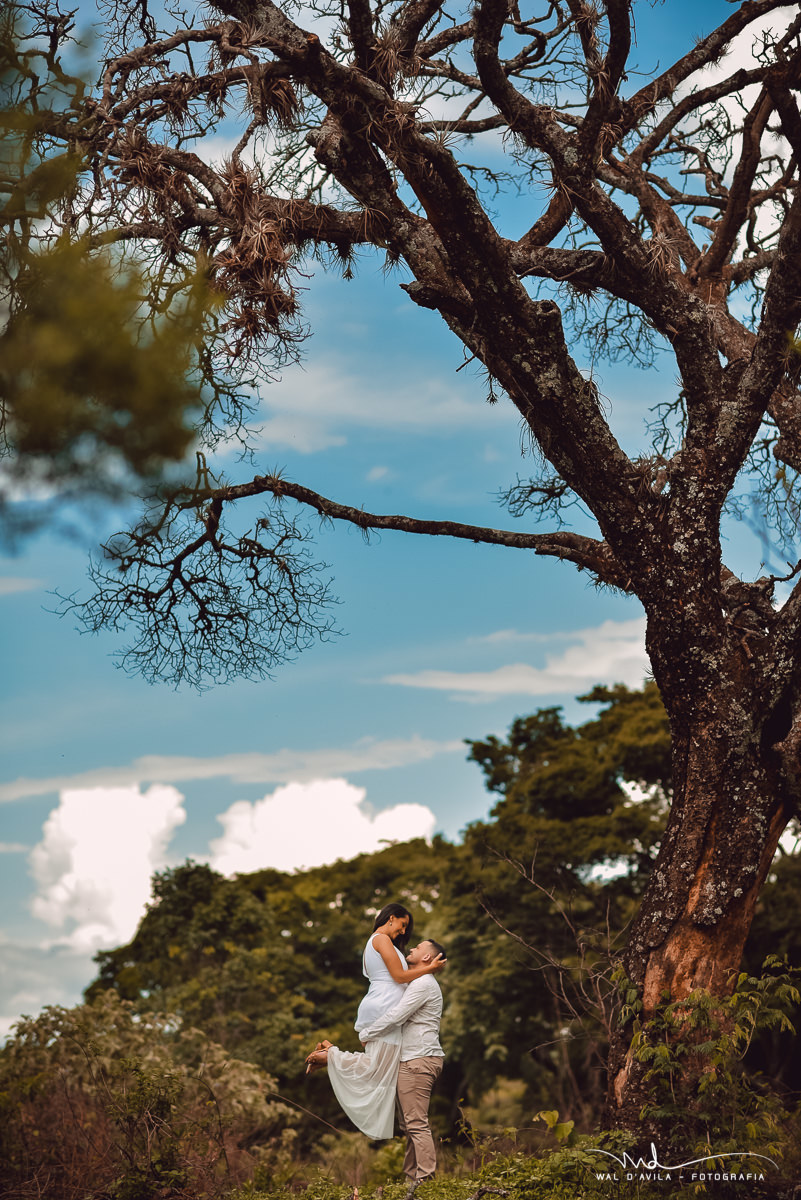 pre wedding casal arvore
