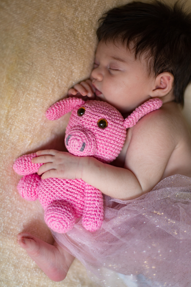 fotografia newborn em Belo Horizonte