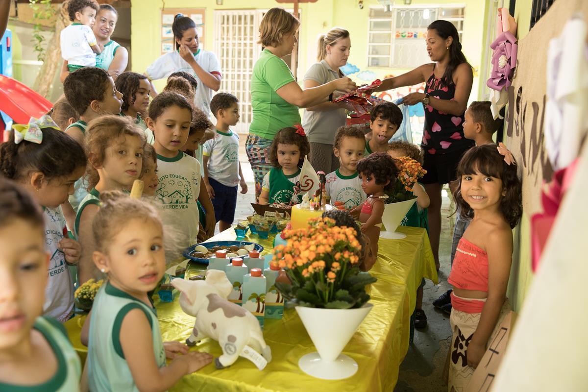 Instituto Educacional Verde Vida