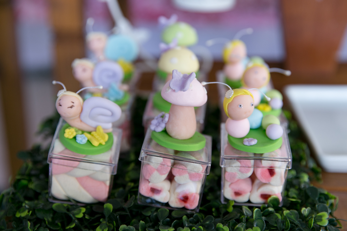 Fotógrafo profissional Castelo