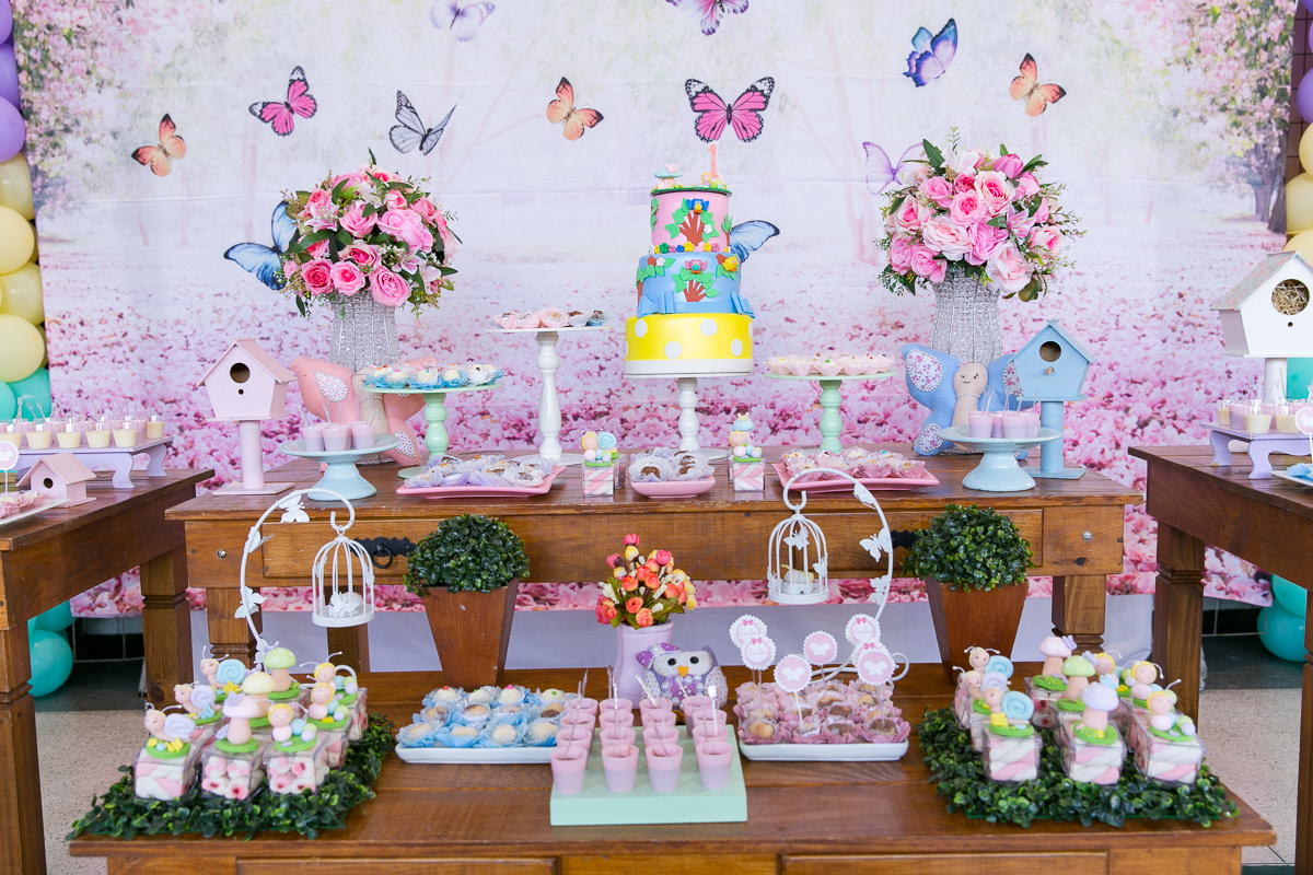 Fotógrafo profissional Castelo