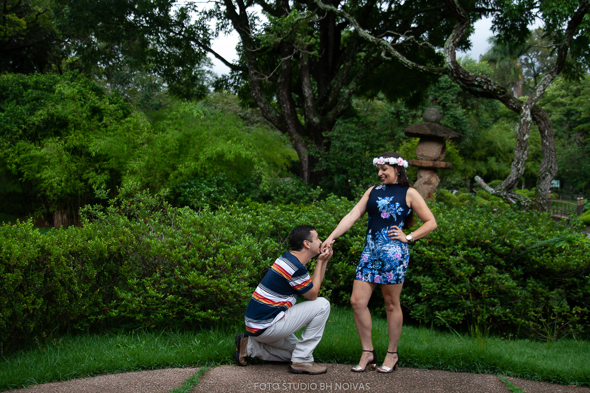 Ensaio de Pré-Wedding-Alessandra e Alexandre-Jardim Japonês-Belo Horizonte