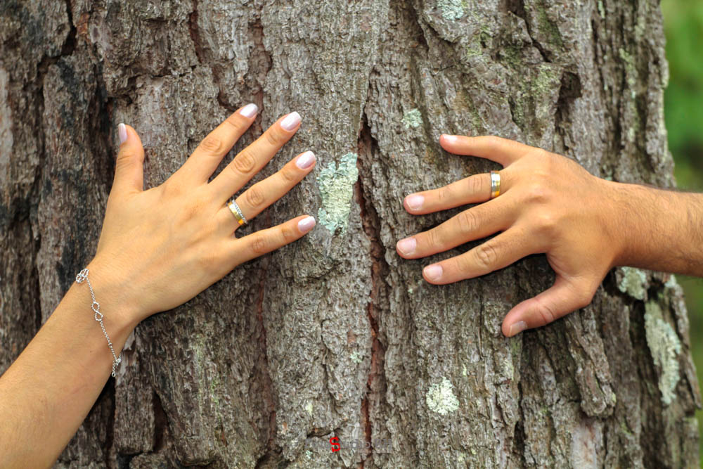 FOTO STUDIO BH NOIVAS