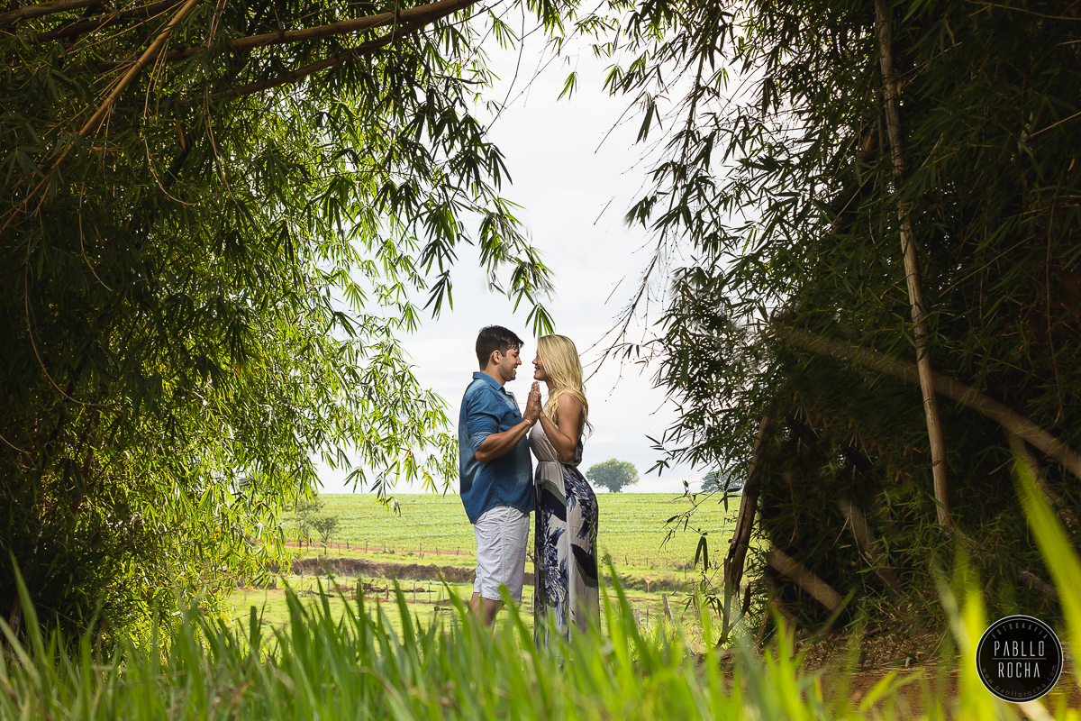 namorados moldura das arvores