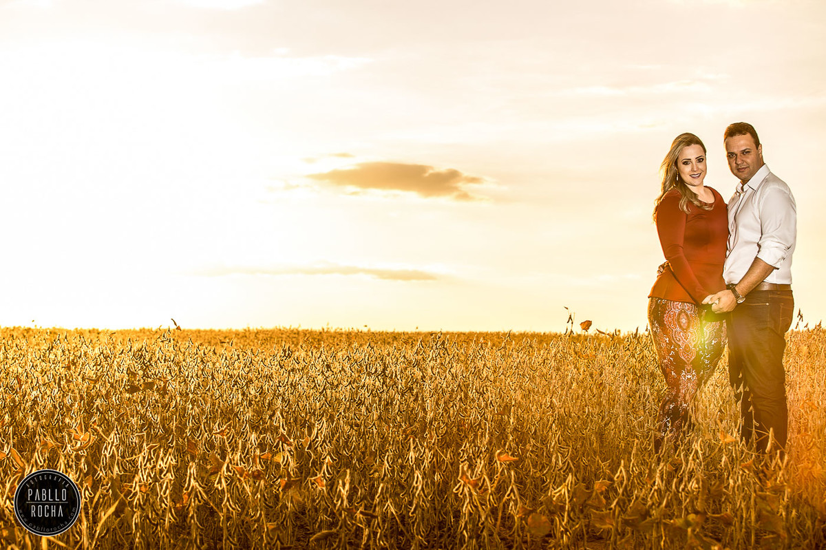 noivos ao Por do sol lavoura de soja