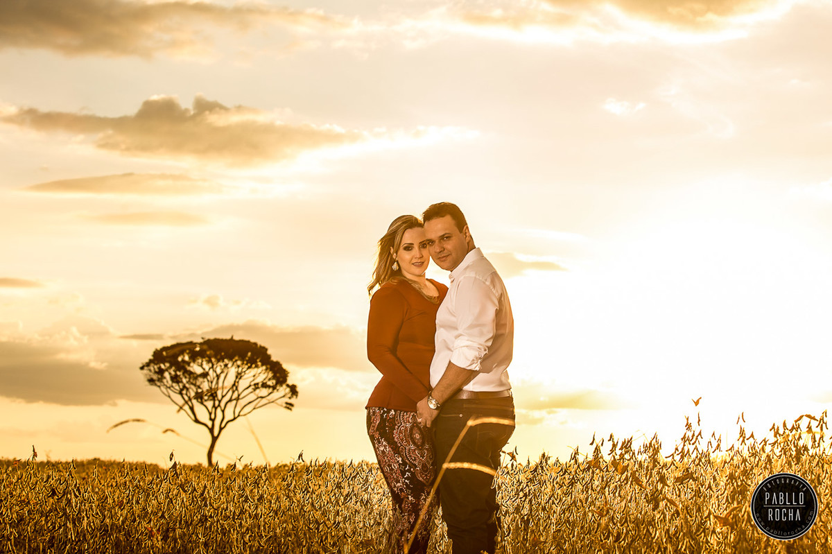 noivos Abraçados ao Por do sol lavoura de soja