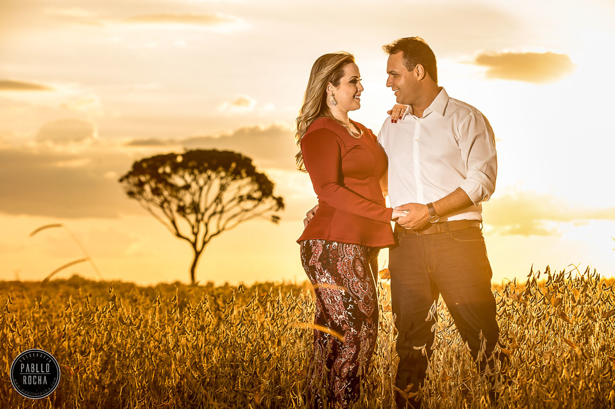 noivos se olhando  ao Por do sol lavoura de soja