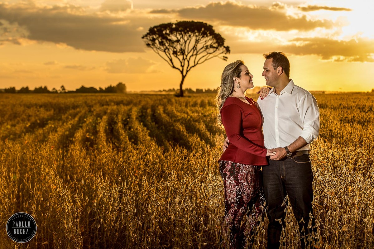 noivos se olhando  ao Por do sol lavoura de soja arvore ao fundo