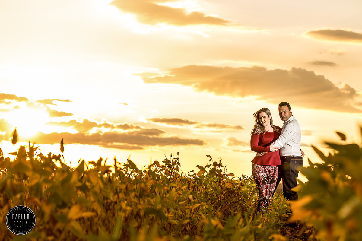 noivos ao Por do sol lavoura de soja